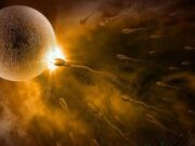 DÖLLENME ANINDAKİ IŞIK PARLAMASI